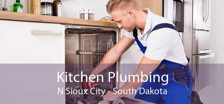 Kitchen Plumbing N Sioux City - South Dakota