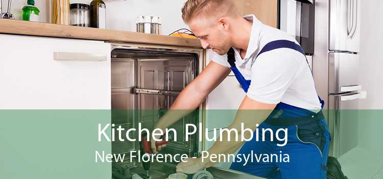 Kitchen Plumbing New Florence - Pennsylvania