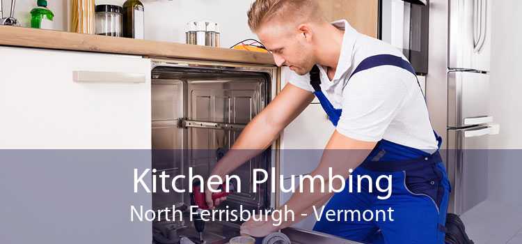 Kitchen Plumbing North Ferrisburgh - Vermont