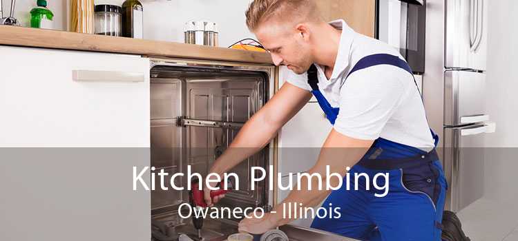 Kitchen Plumbing Owaneco - Illinois