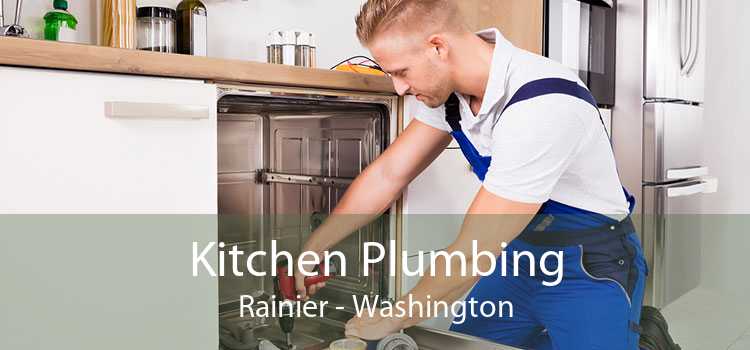 Kitchen Plumbing Rainier - Washington