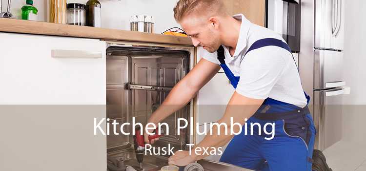 Kitchen Plumbing Rusk - Texas