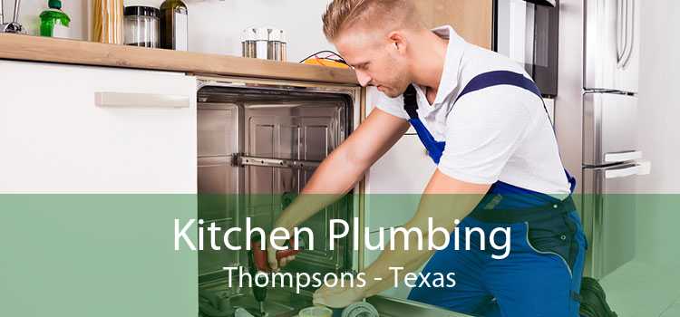 Kitchen Plumbing Thompsons - Texas