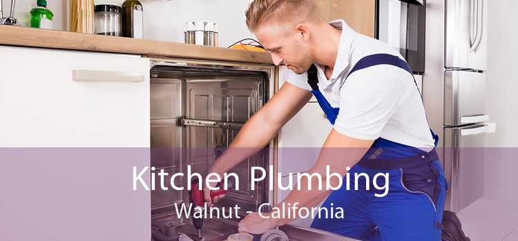 Kitchen Plumbing Walnut - California
