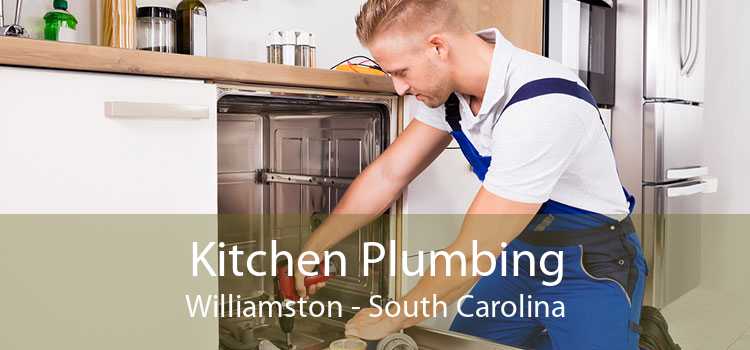 Kitchen Plumbing Williamston - South Carolina