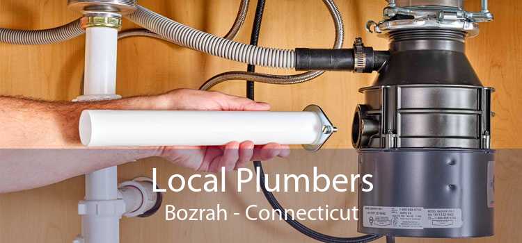 Local Plumbers Bozrah - Connecticut