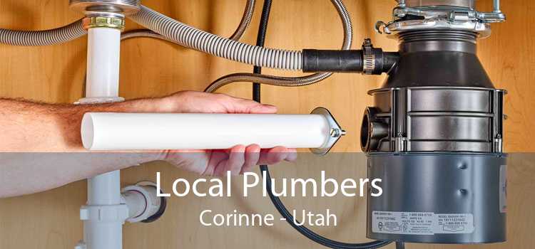Local Plumbers Corinne - Utah