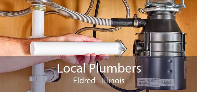 Local Plumbers Eldred - Illinois