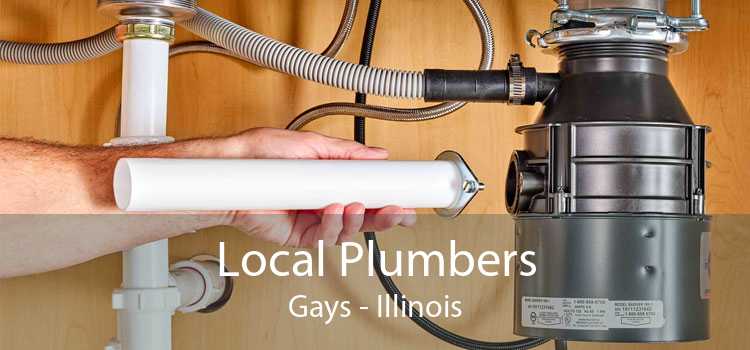 Local Plumbers Gays - Illinois