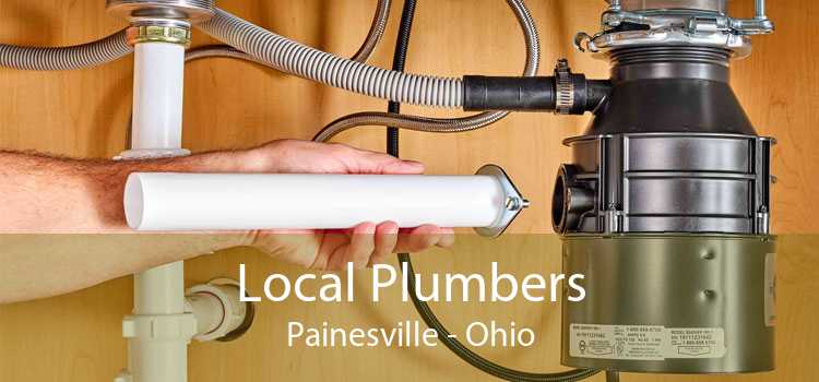 Local Plumbers Painesville - Ohio