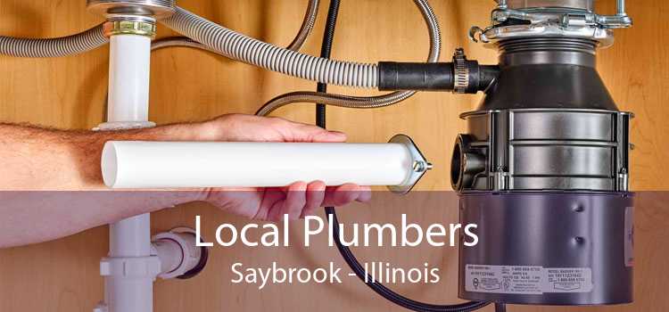Local Plumbers Saybrook - Illinois