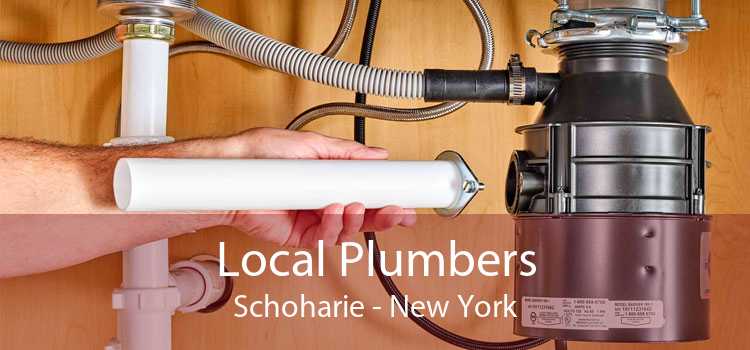 Local Plumbers Schoharie - New York