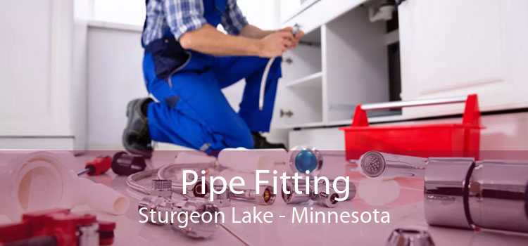 Pipe Fitting Sturgeon Lake - Minnesota