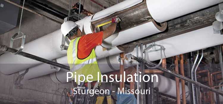 Pipe Insulation Sturgeon - Missouri