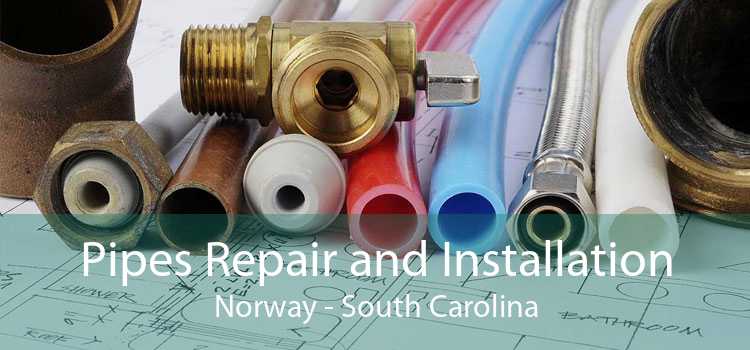 Pipes Repair and Installation Norway - South Carolina
