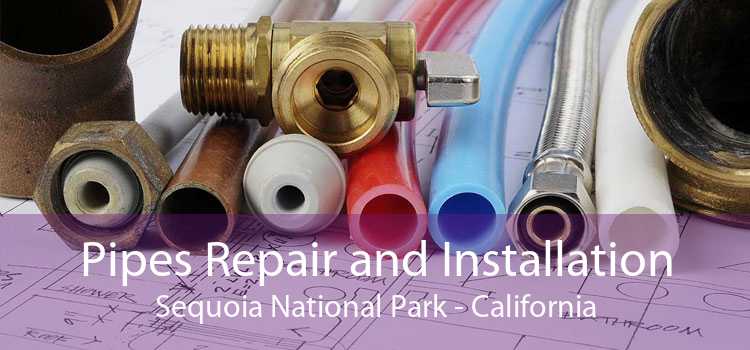 Pipes Repair and Installation Sequoia National Park - California