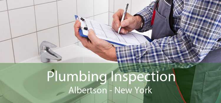 Plumbing Inspection Albertson - New York