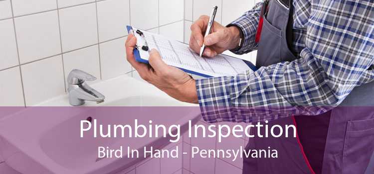 Plumbing Inspection Bird In Hand - Pennsylvania