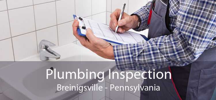 Plumbing Inspection Breinigsville - Pennsylvania