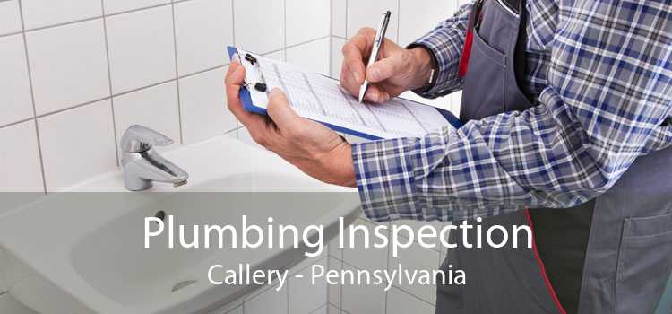Plumbing Inspection Callery - Pennsylvania