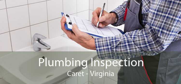 Plumbing Inspection Caret - Virginia
