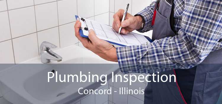 Plumbing Inspection Concord - Illinois