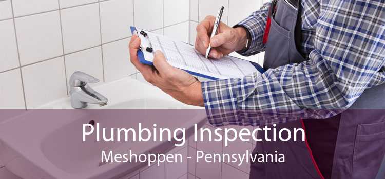 Plumbing Inspection Meshoppen - Pennsylvania