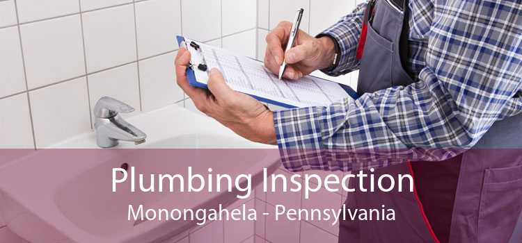 Plumbing Inspection Monongahela - Pennsylvania