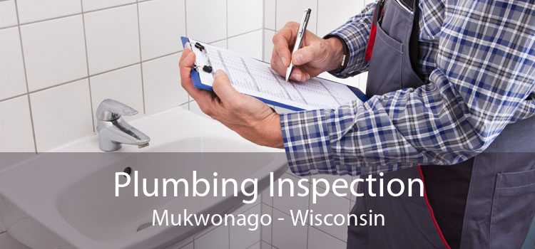 Plumbing Inspection Mukwonago - Wisconsin