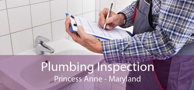 Plumbing Inspection Princess Anne - Maryland