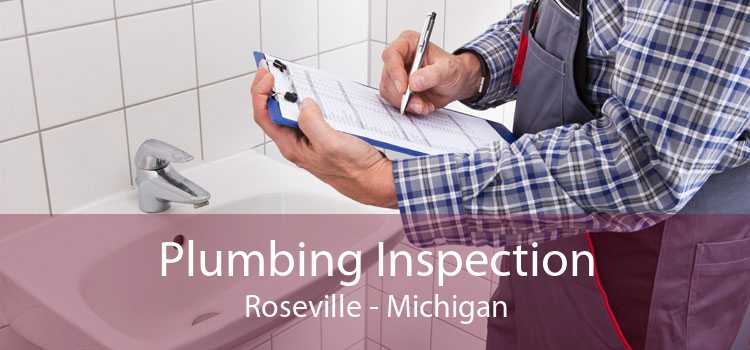 Plumbing Inspection Roseville - Michigan