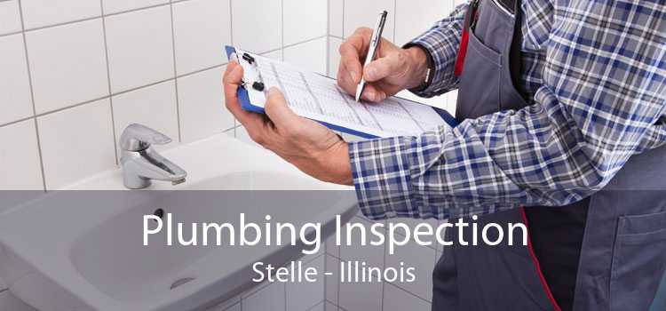 Plumbing Inspection Stelle - Illinois