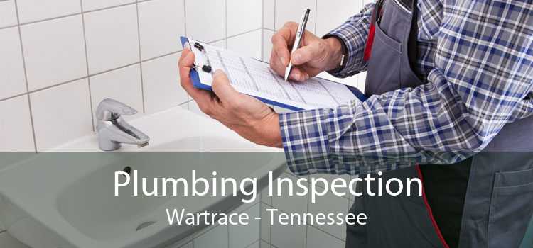 Plumbing Inspection Wartrace - Tennessee