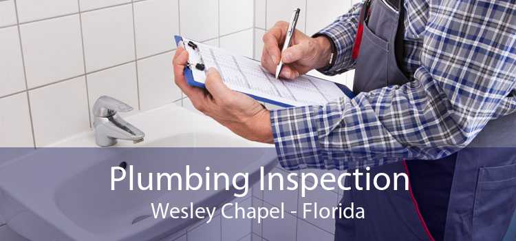 Plumbing Inspection Wesley Chapel - Florida