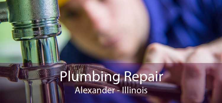 Plumbing Repair Alexander - Illinois