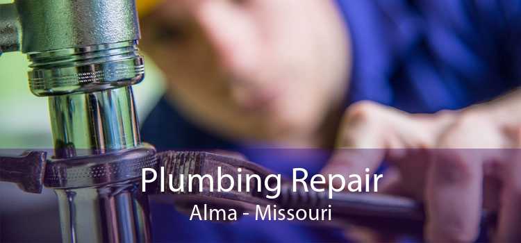 Plumbing Repair Alma - Missouri