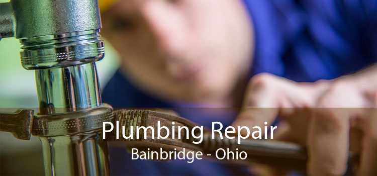 Plumbing Repair Bainbridge - Ohio
