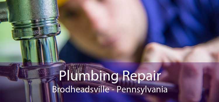 Plumbing Repair Brodheadsville - Pennsylvania