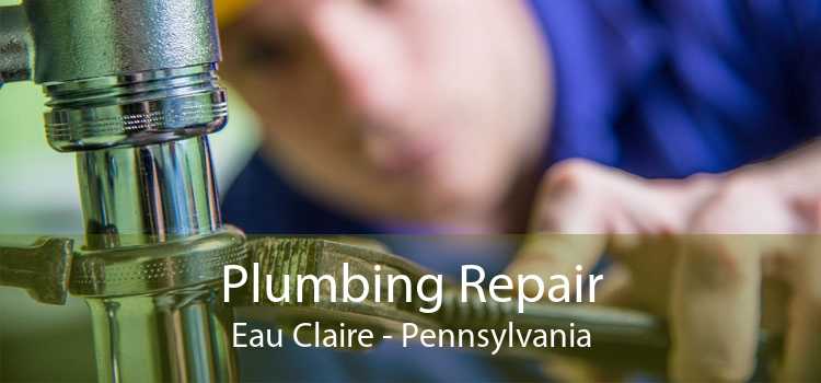 Plumbing Repair Eau Claire - Pennsylvania