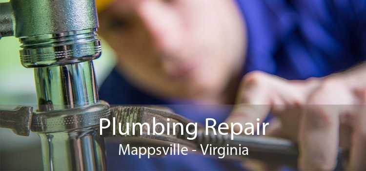 Plumbing Repair Mappsville - Virginia