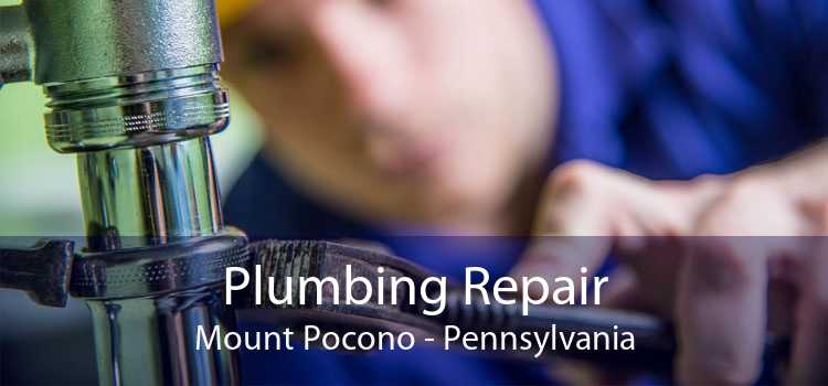 Plumbing Repair Mount Pocono - Pennsylvania