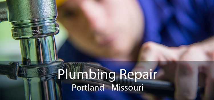 Plumbing Repair Portland - Missouri
