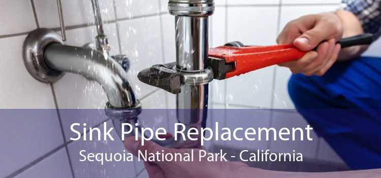 Sink Pipe Replacement Sequoia National Park - California
