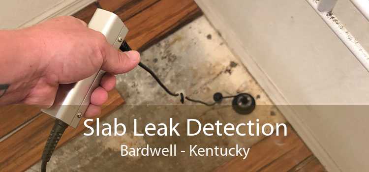 Slab Leak Detection Bardwell - Kentucky