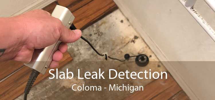 Slab Leak Detection Coloma - Michigan