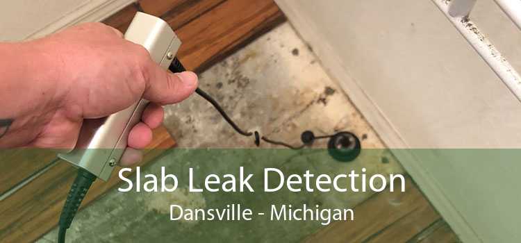 Slab Leak Detection Dansville - Michigan
