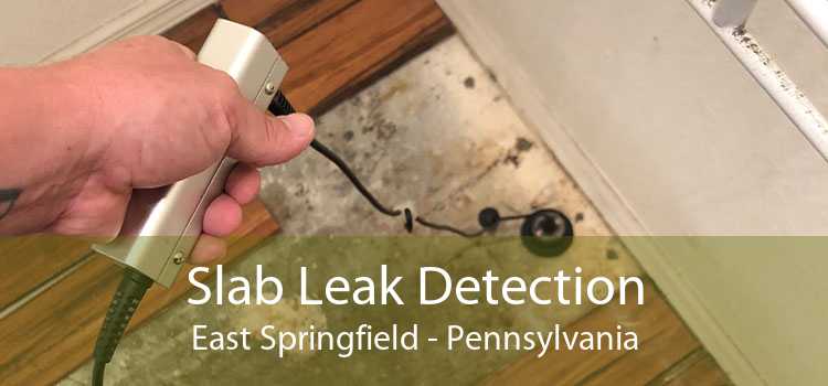 Slab Leak Detection East Springfield - Pennsylvania