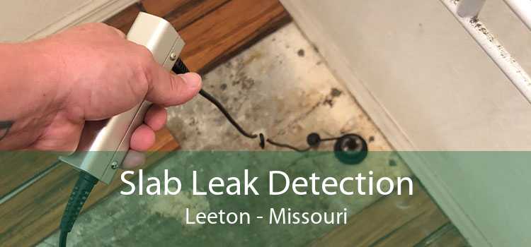 Slab Leak Detection Leeton - Missouri