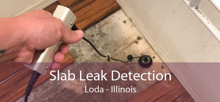 Slab Leak Detection Loda - Illinois
