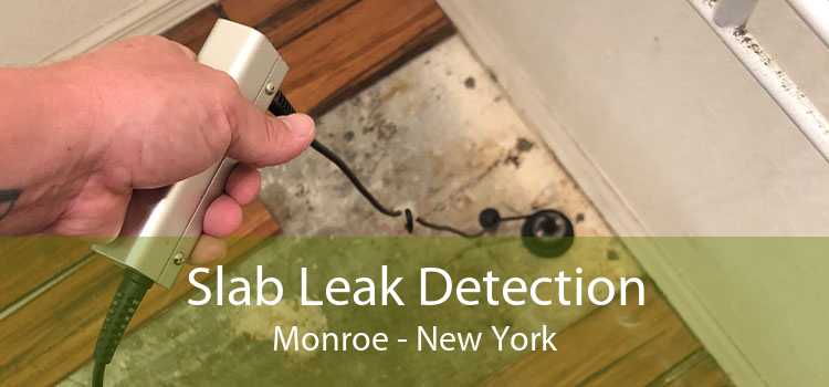 Slab Leak Detection Monroe - New York